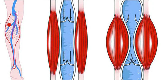 ThermaFascia Pro™: USB Rechargeable Muscle Pain Relief & Electric Massager